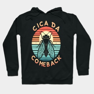 The Great Cicada Comeback tour 2024 Hoodie